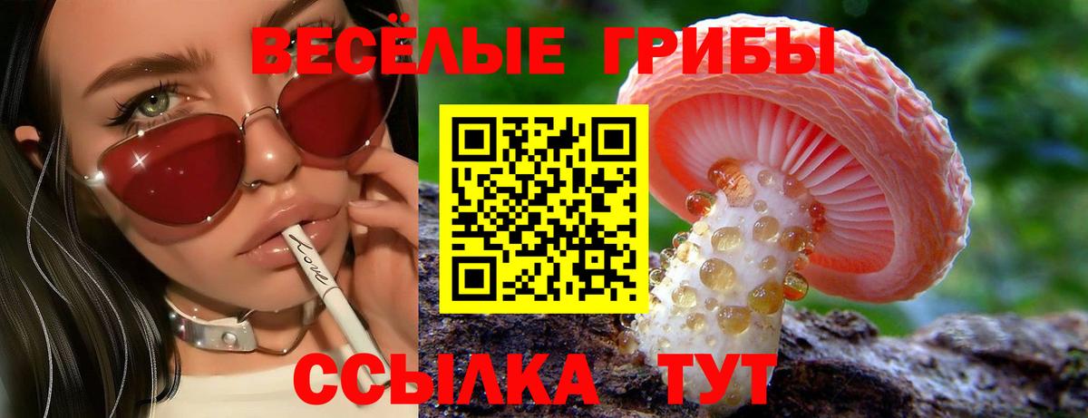 Псилоцибиновые грибы Psilocybe Избербаш